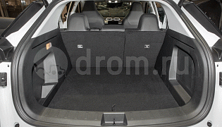 Фотография интерьера Dongfeng Mage